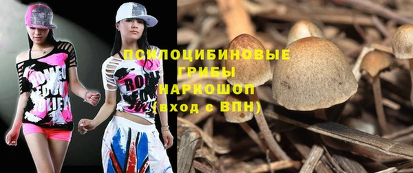 прущая мука Абаза