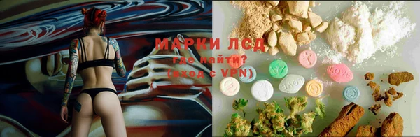 гидра Абинск