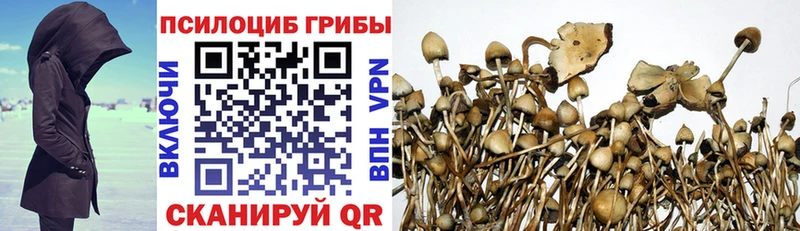 Галлюциногенные грибы мухоморы  где найти   Энем 